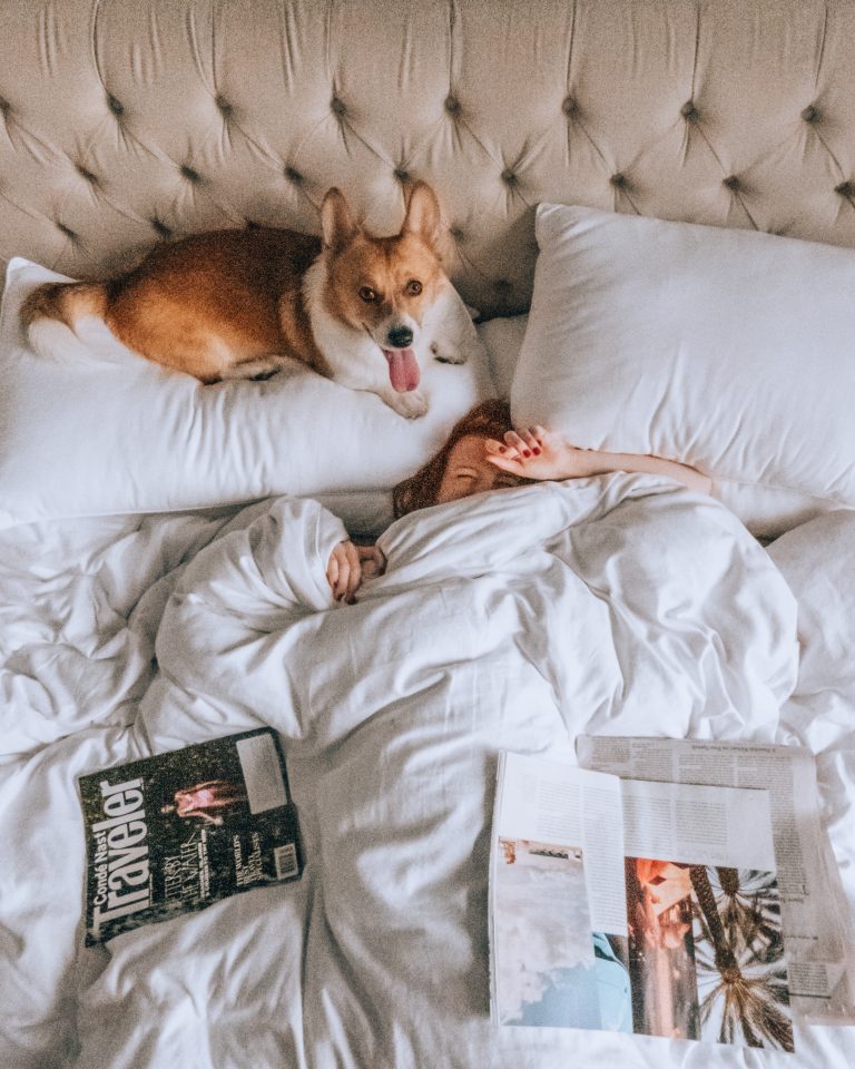 Corgi and woman lying in bed from a picture from above