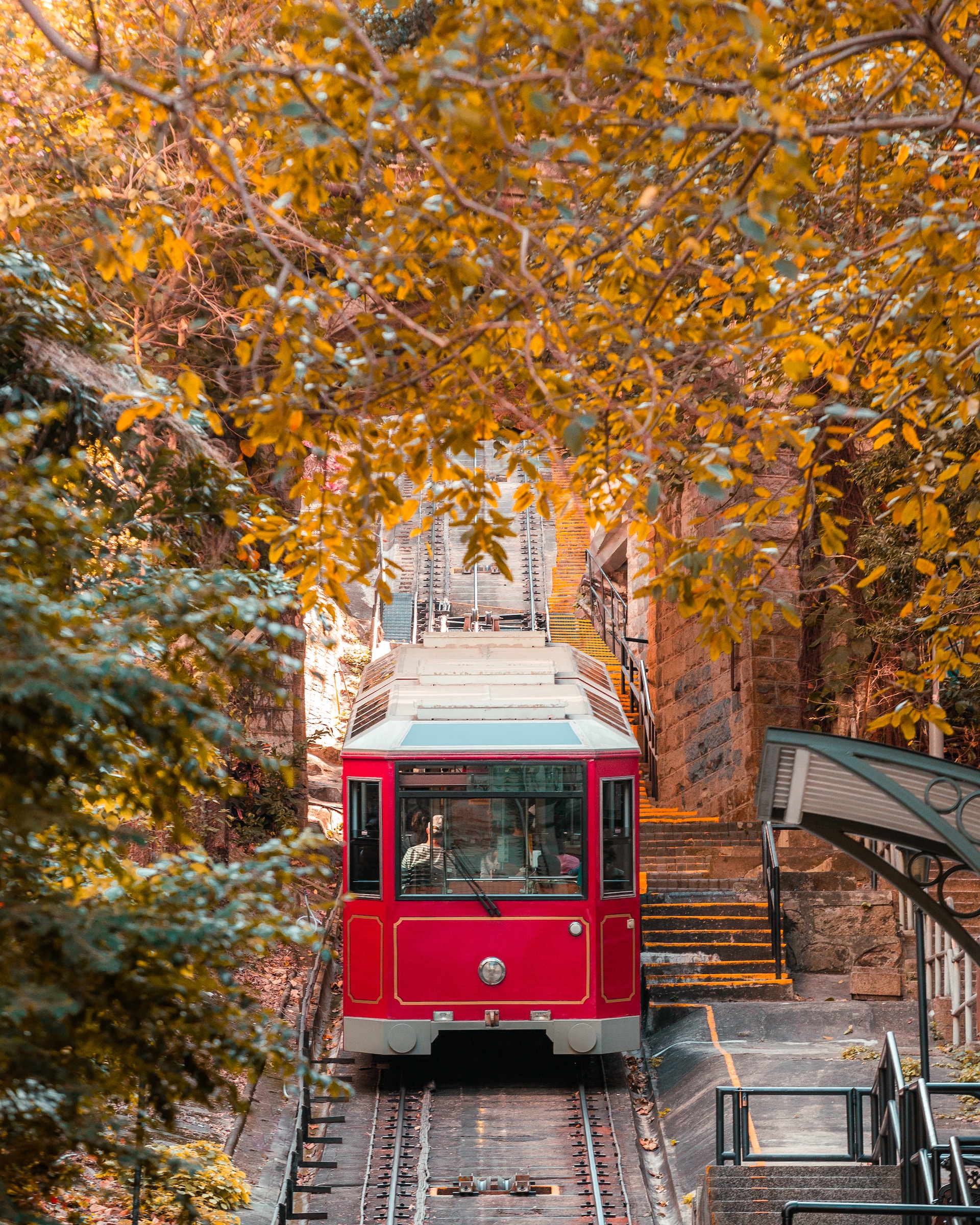 The Victoria Peak tramway appears into station through autumn leaves