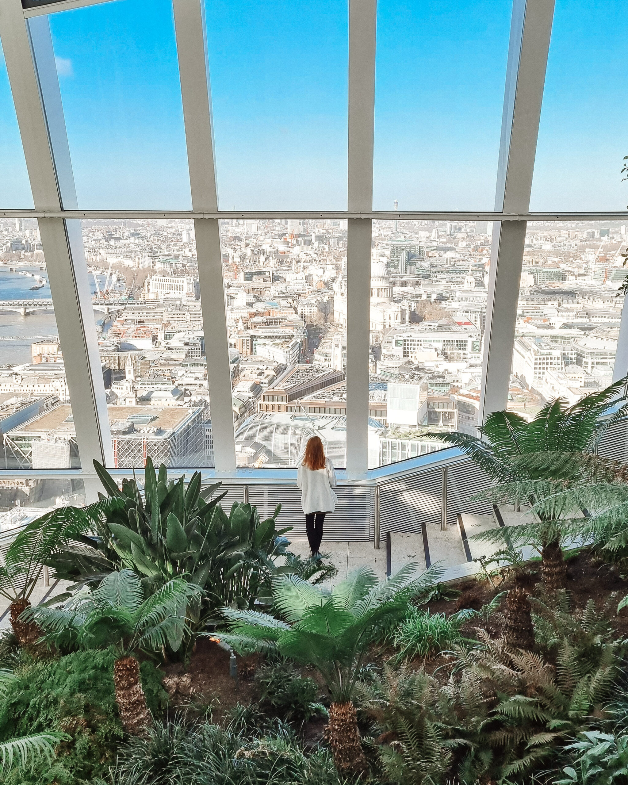 A woman standing looking at London skyline from Sky Garden with surrounding plants